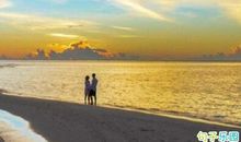 文雅有诗意的句子 比较文雅的说说