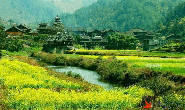    关于我家乡的春天的句子  1