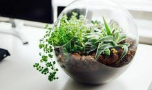 想一个人不开心的句子