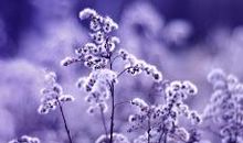 对自己的妈妈失望的句子