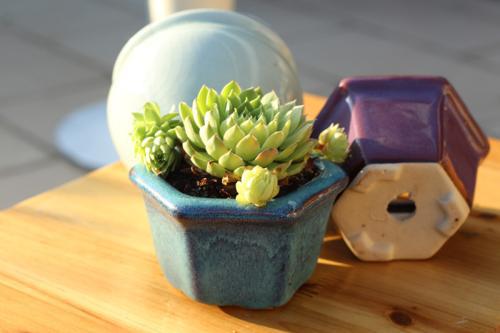 有哪些有趣的句子