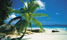 赞美泰山的诗句