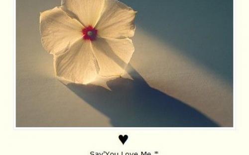 以下是从心碎到心碎的简短句子