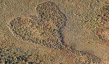 对一个人失望寒心的句子