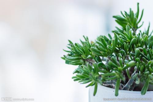 旅行的心情如何