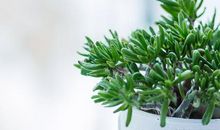 形容人旅游开心的句子说说心情短语