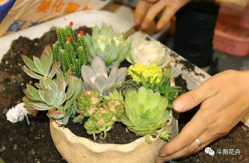 让我们看一下编辑器编辑的关于快乐的第八和第八部分的句子