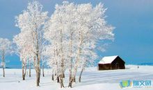 描写北国雪景的诗句