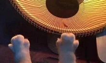 晚上睡觉脚冷的说说