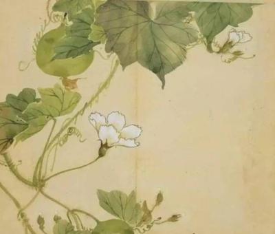 我心里经常想念你