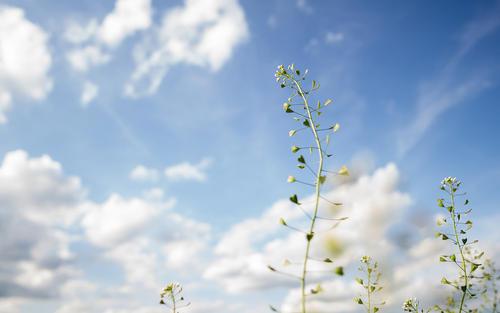 当您喜欢某人时