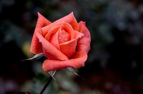 和你在一起是我最快乐