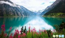 关于春分养生的句子 适合春分的养生祝福语