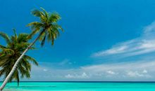 情人生病了问候短信