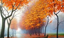 关于思念家乡的秋的句子