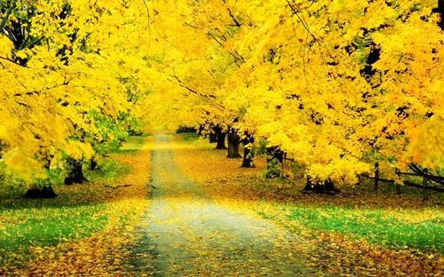 被雨水打在脸上的感觉清新自然