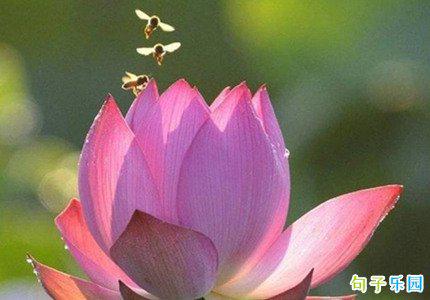 一位母亲在名人眼中长什么样