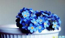 面对疫情的个人感言说说 这次的疫情的感悟说说