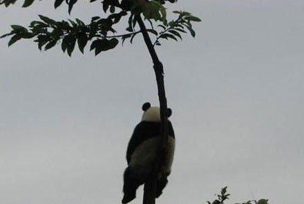 你的微笑是你穿的保护色