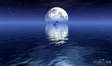 中秋节思念情人短信