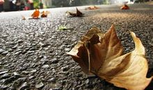 关于秋日的思念句子