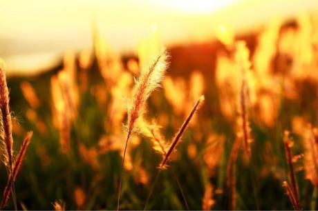    关于秋天越来越深的秋天夜晚的想法  1
