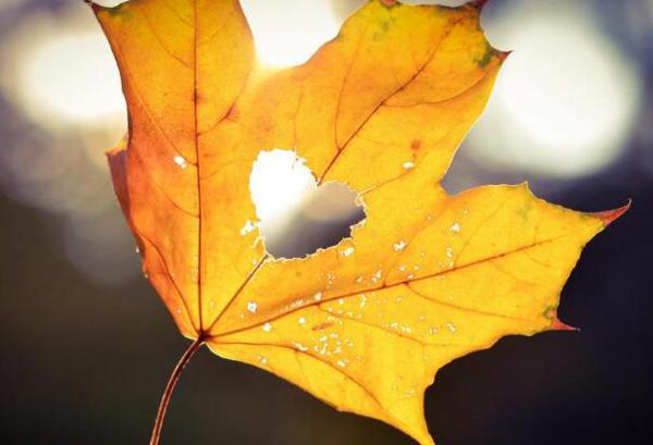 世界上有如此多的大脑损伤