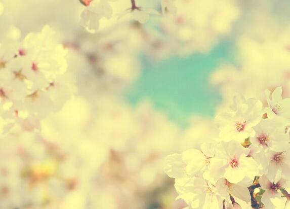 因为我的大脑被水淹没了