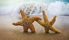 美好的感人句子