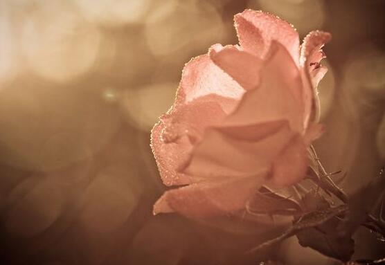 以下是编辑组织的“愚人节搞笑句子”