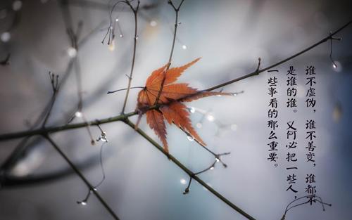 在这个荡漾的春夜里