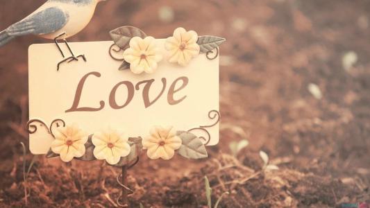 心灵的快乐来自精神的丰富