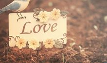 心碎了金典句子