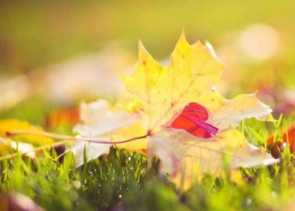 这个世界上没有那么多