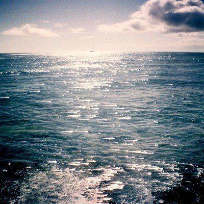 要坚定地走出去是不好的