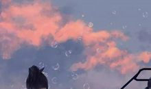 想念哥哥到心碎的句子