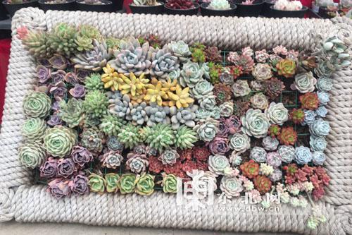 编辑编了一些关于家庭的感人句子