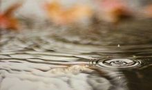 淡淡忧伤的句子：睹物思人的后半句永远都是物是人非