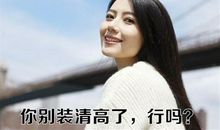 讽刺人装清高的句子 骂爱装清高的人句子