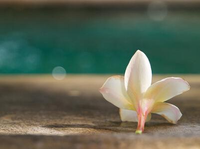 我从未放弃过爱你