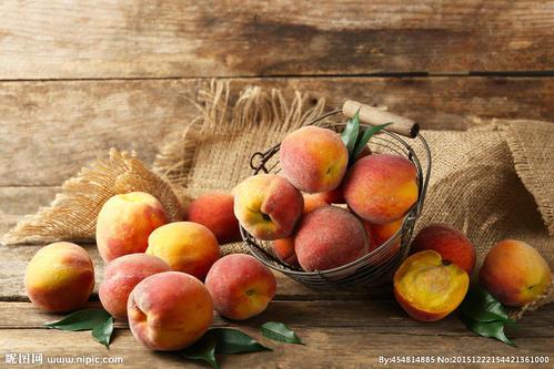 让我们看一下小编编写的整个家庭友好的温馨句子系列