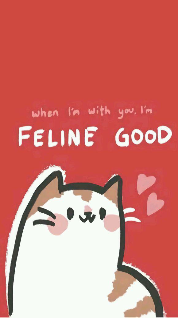 毫不犹豫地梳理着白花的月光