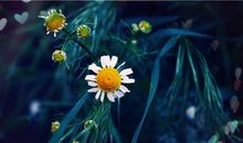 每天坚持十一点睡觉的说说