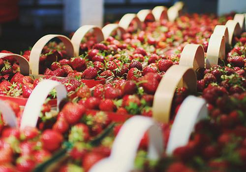 我希望你喜欢  1