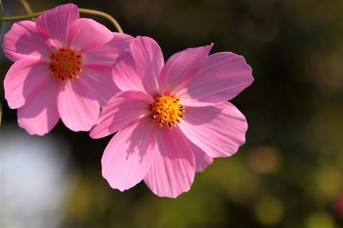 生活是非常脆弱的