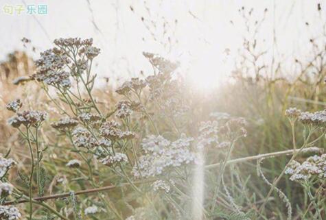 我们通常不会考虑我们拥有的东西