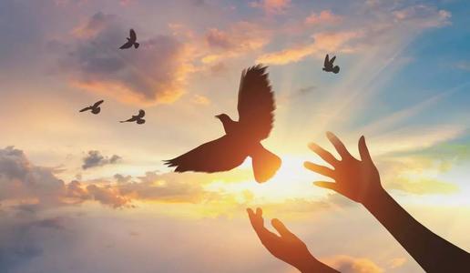 请欣赏由编辑编撰的关于生活中幸福挣扎的句子