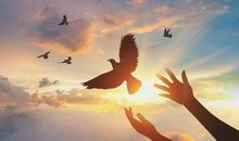 关于生活开心奋斗的句子说说心情