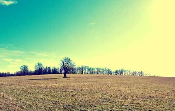   我慢慢地慢慢地了解到