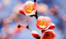 祝福武汉祝福中国的祝福语 疫情时期暖心祝福语